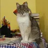 Отзыв от Ольга Троицкая